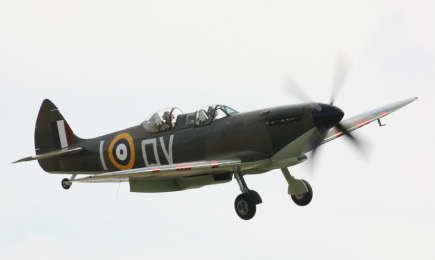 Tiger Moth