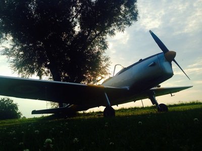 Tiger Moth