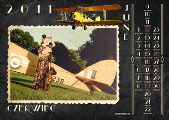Tiger Moth