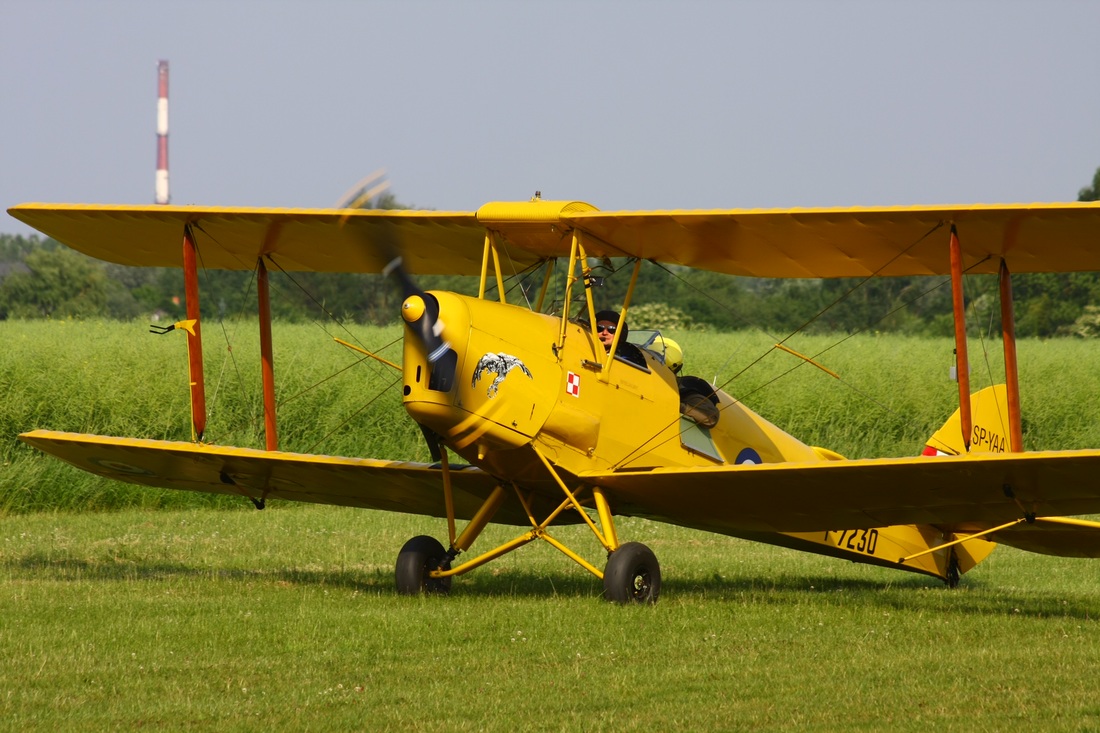 Tiger Moth w locie