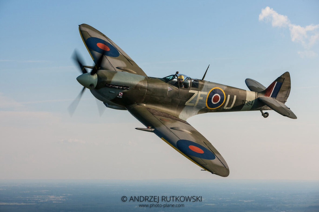 Tiger Moth