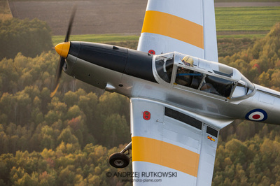 Tiger Moth