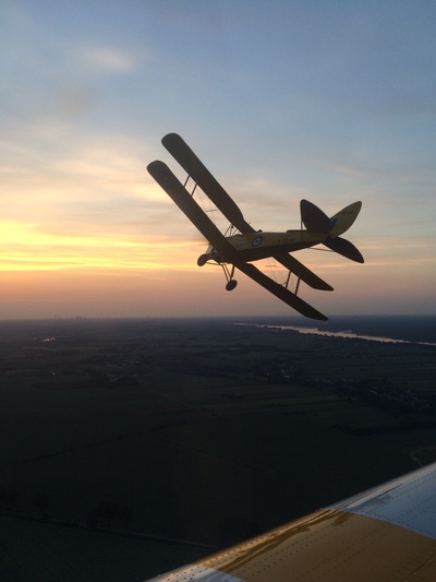 Tiger Moth