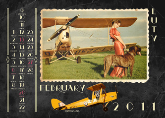 Tiger Moth