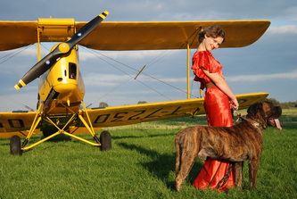 Tiger Moth