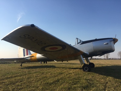 Tiger Moth
