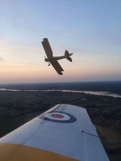 Tiger Moth
