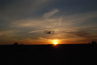 Tiger Moth