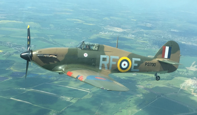 Tiger Moth