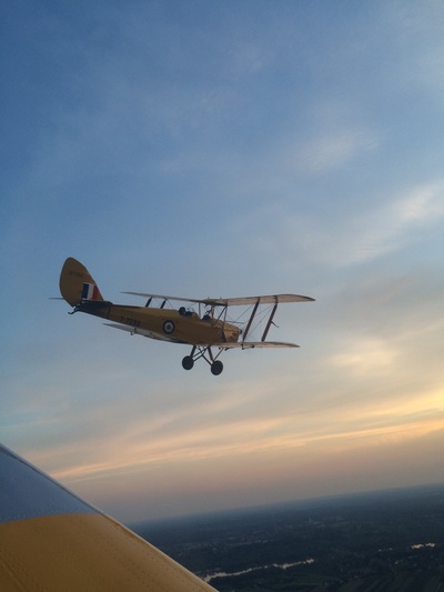 Tiger Moth