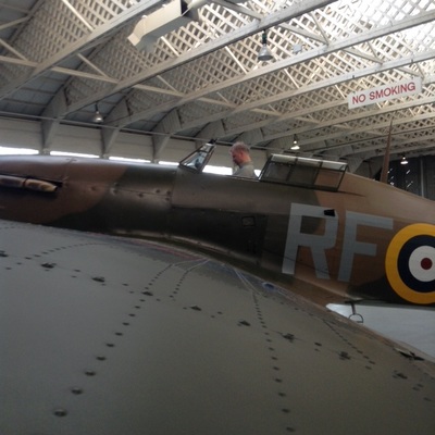Tiger Moth