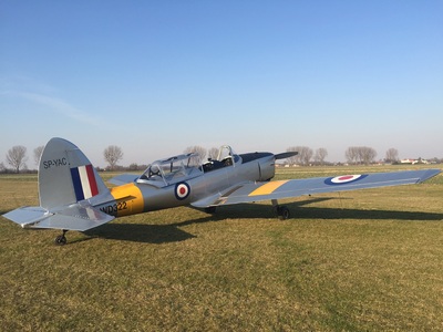 Tiger Moth