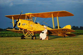 Tiger Moth