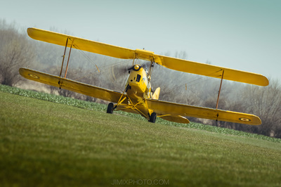 Tiger Moth