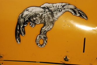 Tiger Moth