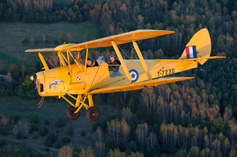 Tiger Moth