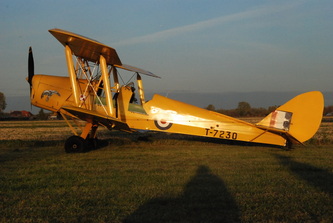 Tiger Moth