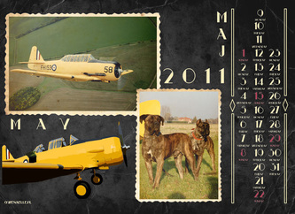Tiger Moth