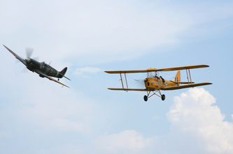 Tiger Moth