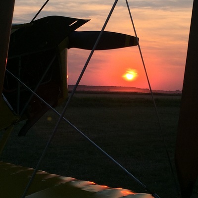 Tiger Moth
