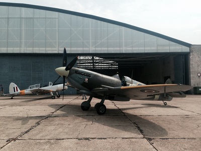 Tiger Moth