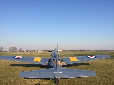 Tiger Moth
