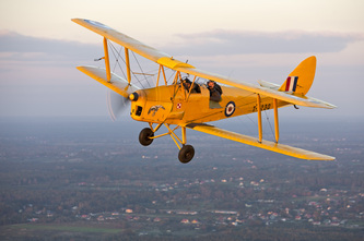 Tiger Moth