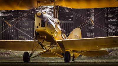 Tiger Moth