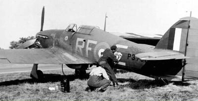 Tiger Moth