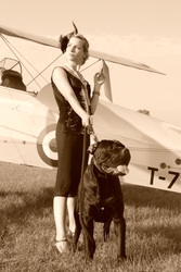 Tiger Moth