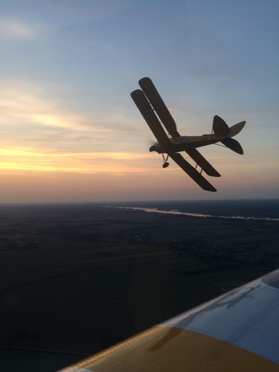 Tiger Moth