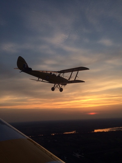 Tiger Moth