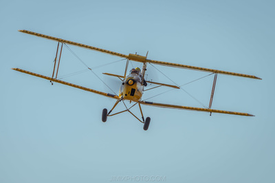 Tiger Moth