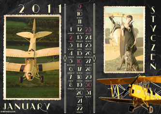 Tiger Moth