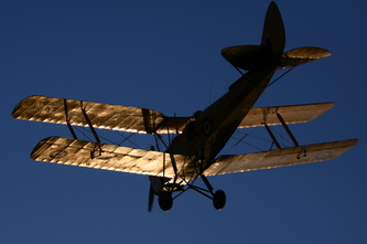 Tiger Moth
