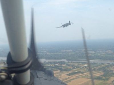 Tiger Moth