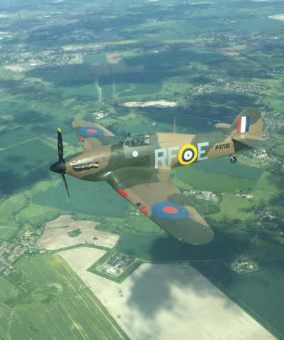 Tiger Moth