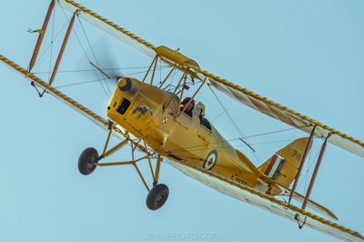 Tiger Moth