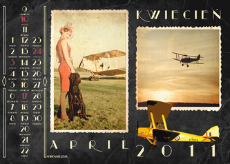 Tiger Moth