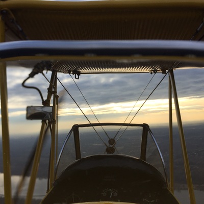 Tiger Moth