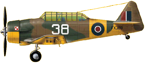 Harvard w PSP — oznaczenia