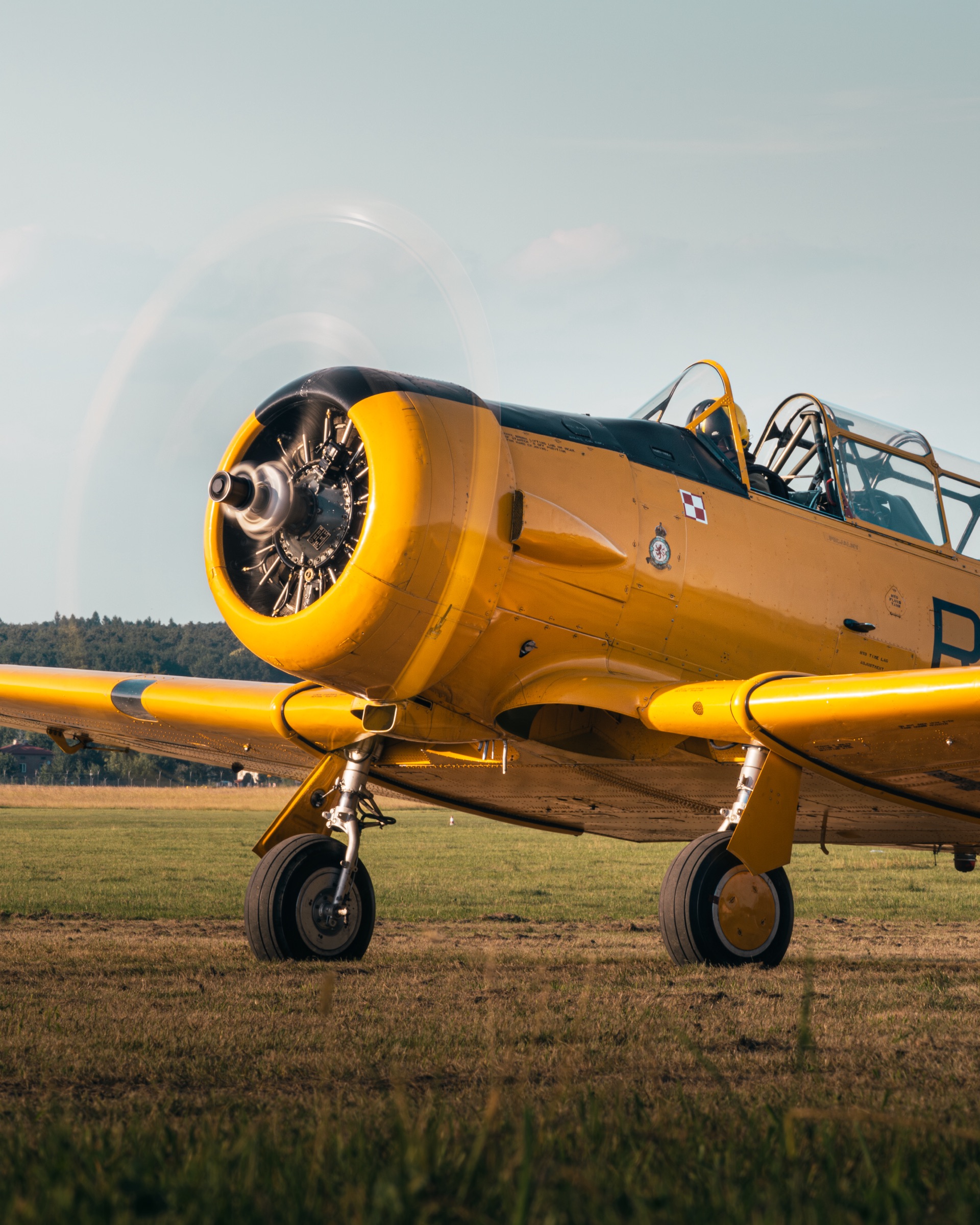 North American T-6 Harvard SP-YIX