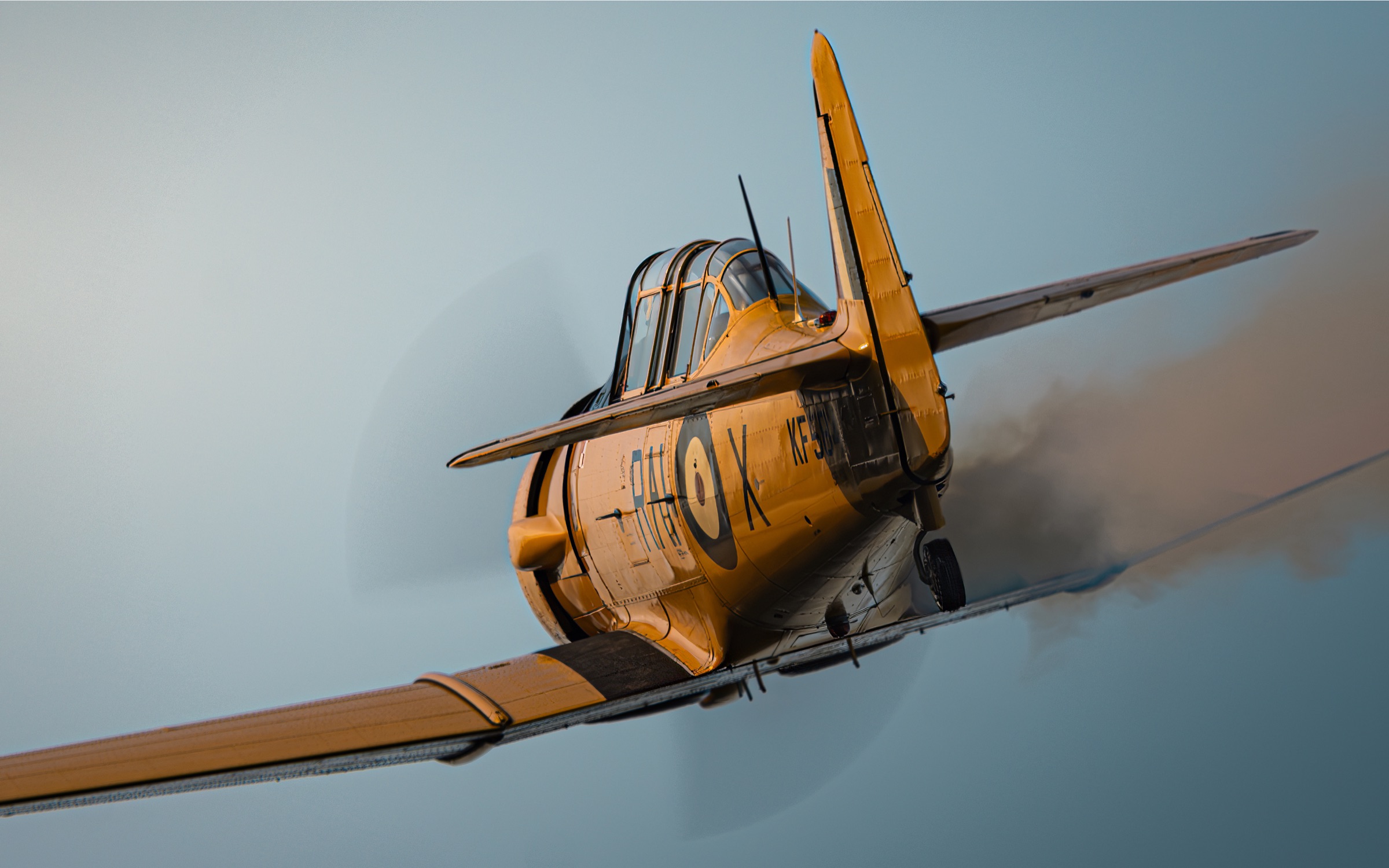 North American T-6 Harvard SP-YIX — fot. Michał Pożarowszczyk