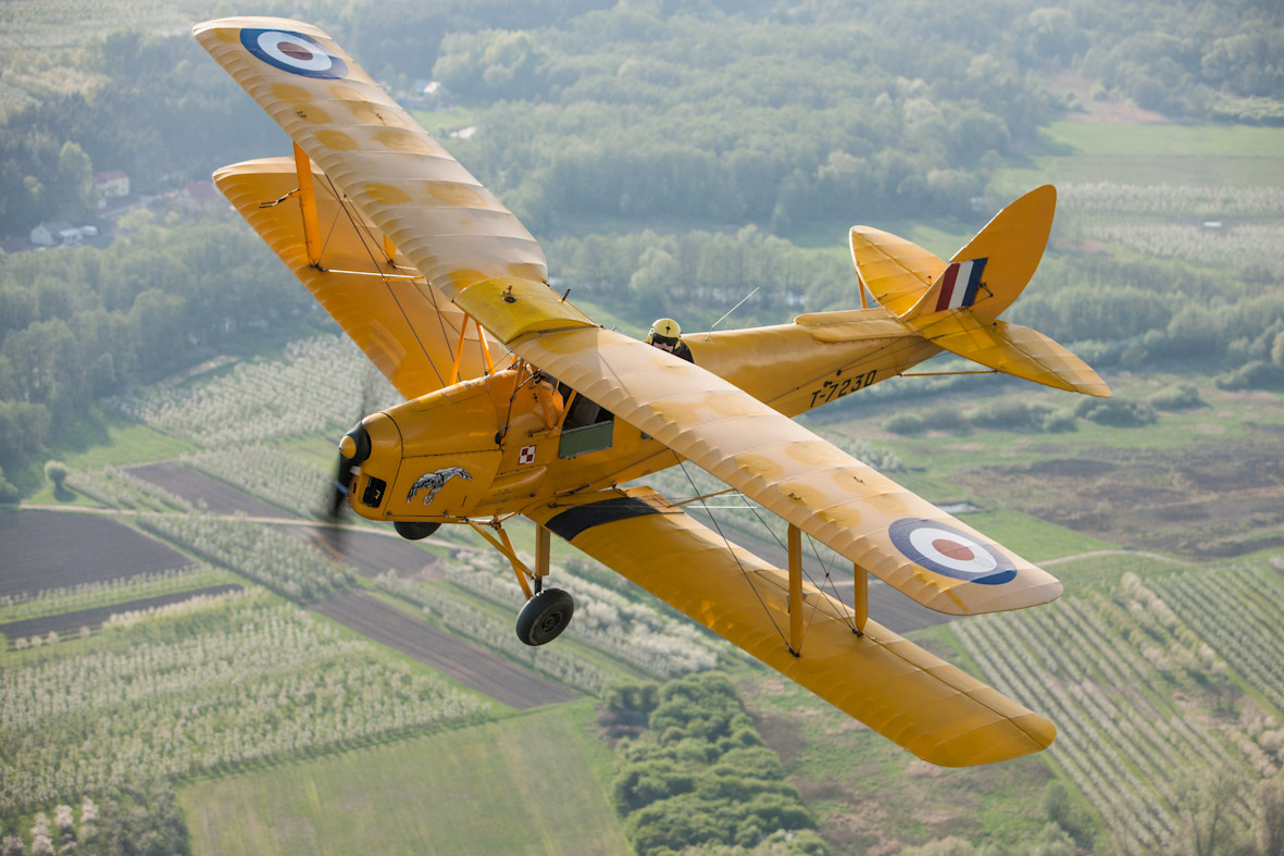 DH82A Tiger Moth T-7230 SP-YAA — loty pokazowe w Polsce