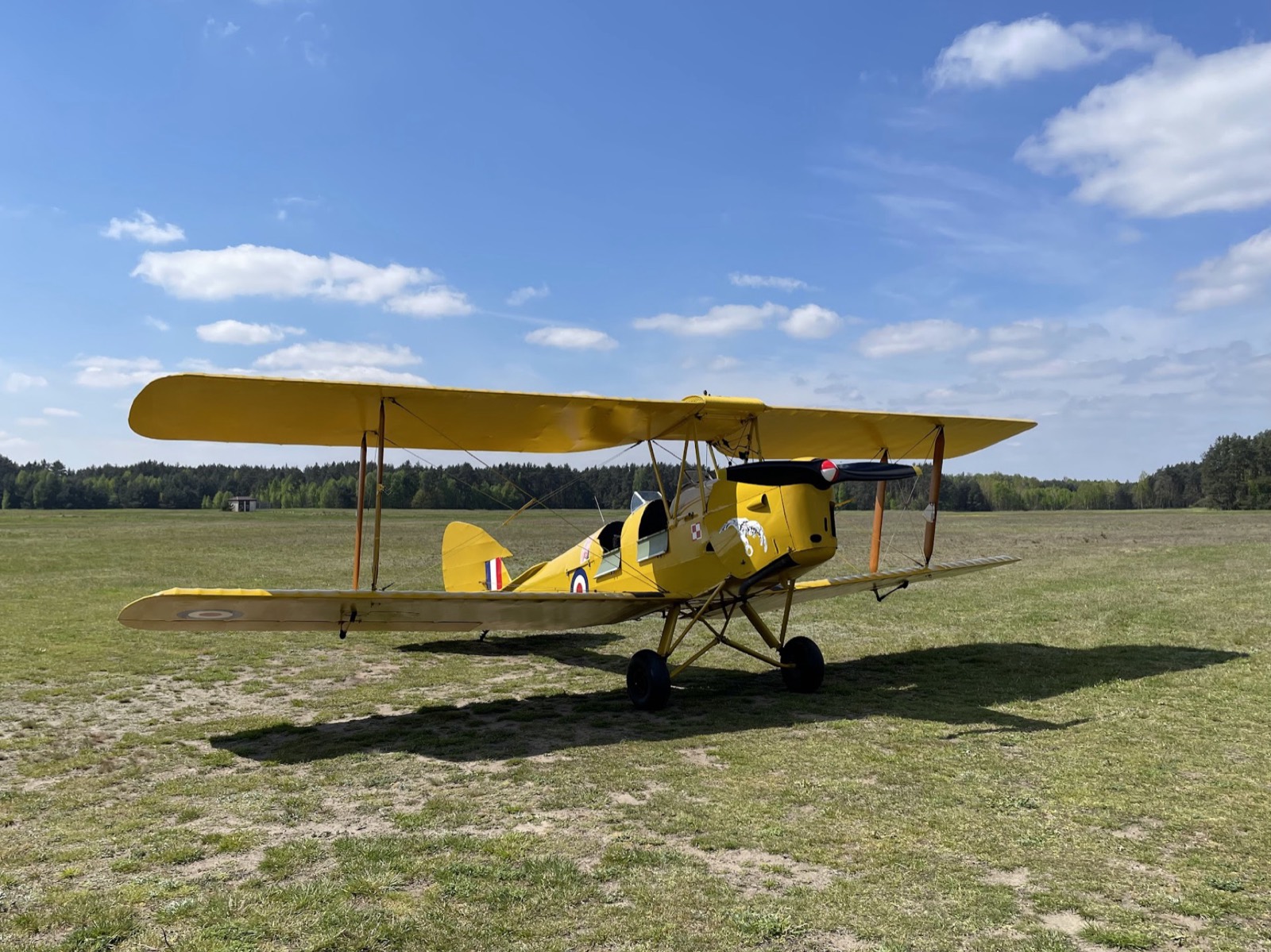 DH82A Tiger Moth SP-YAA
