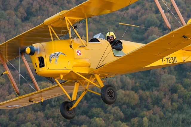 DH82A Tiger Moth SP-YAA